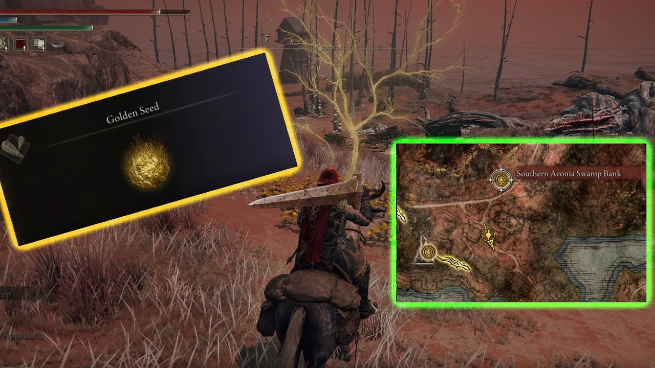 Elden Ring GOLDEN SEED Southern Aeonia Swamp Bank Location YouTube