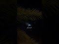 قلطني و رحبي ياجرحي وطبي قلطني و رحبي ياجرحي وطبي