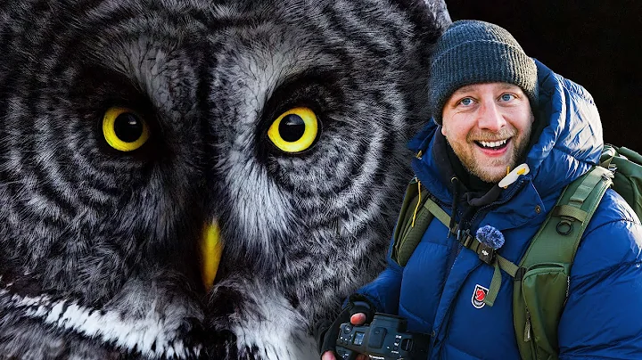 Canon R1 Review While Photographing an Alaskan Great Gray Owl