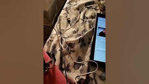 Pros and cons of Open Source software