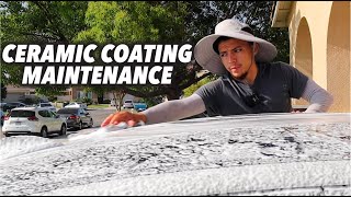 2 Month Update on 16 Different Professional Ceramic Coatings + Maintenance  