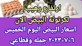 سعر البيض اسعار البيض اليوم الخميس ٦-٧-٢٠٢٣ جمله وقطاعي فى مصر