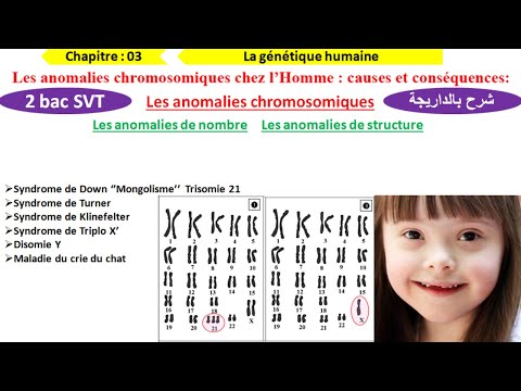 Les Anomalies Chromosomiques 2bac Svt BIOF شرح بالداريجة