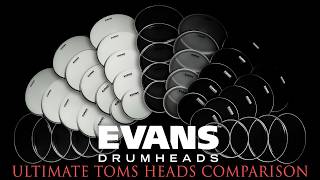 EVANS ULTIMATE TOMS HEADS COMPARISON (2-ply)