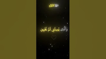 سوره الشعراء بصوت هادئ يريح القلب 🎧 #اسلاميات #اسلام #دعاء #اكسبلور