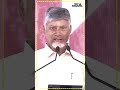 YSR Statue Vandalized in Nandyal | CM Chandrababu | YCP Protest |Ys Jagan | Tree Media