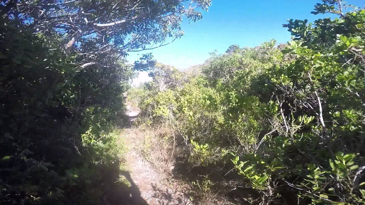 SV Echo Echo Sailing the World, Neil and Jeanette's Adventures- Bahamas Signing Tree Pt1