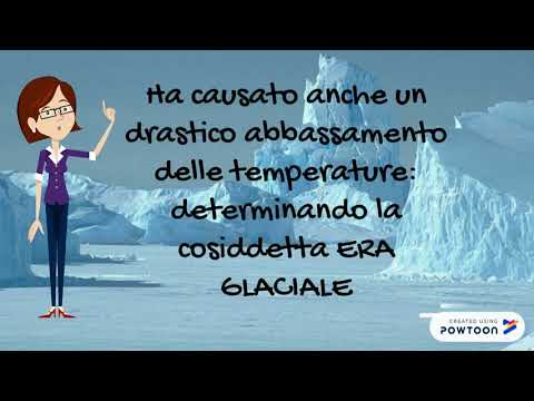 Video: Estinzione Delle 