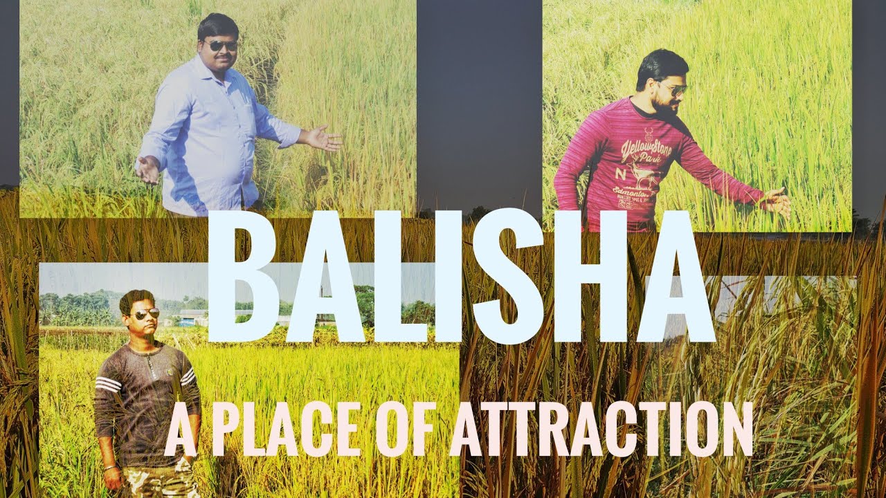 Balisha - A Place Of Attraction||Green-view||Westbengal||Riders ...