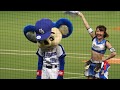 ドアラ 荒井なつりリーダーとバトル 前半攻めるもタオル取られてドアラの負け~~~www中日ドラゴンズ チアドラゴンズとマスコット