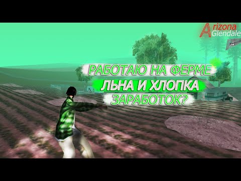 ферма аризона рп. ферма льна и хлопка arizona. ферма аризона рп. аризона рп ферма льна и хлопка. аризона рп ферма льна и хлопка.