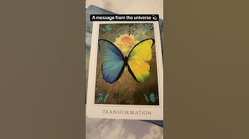 A message from the universe 💫 #messagefromtheuniverse #universe #oraclereading #transformation