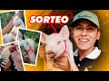 ¡SORTEO MÁS GRANDE DE LA HISTORIA DE YOUTUBE! 🎉🐷 - Salomón Valencia