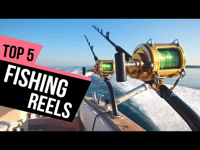 bluegill fish hook size Fishing Hook Types Explained for Beginners: Sizes, Styles & Uses   TackleFlagship