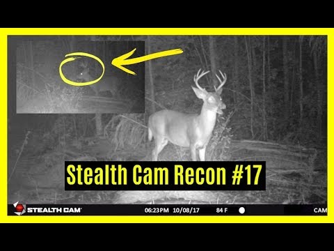 stealth cam digital night vision binoculars