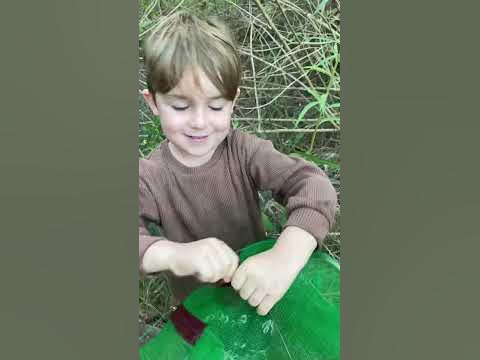 Koa catches some yabbies and an eel on Golden Hill Farm 