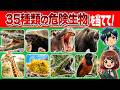 【生き物クイズ】35種類の危険生物の名前を当てられるかな？