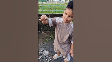 Mẹ ơi đi cứu con ốc bị nguy hiểm,#shorts #snail snail