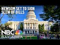 Newsom to Sign Slew of Bills as California Legislative Session Closes