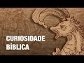 O QUE É O LEVIATÃ DE JÓ 41? - BTVlog 052