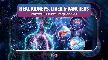 🫀 HEAL KIDNEYS, LIVER & PANCREAS 💧| Powerful Detox Frequencies to Flush Toxins & Cleanse Organs