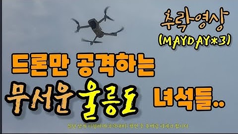 울릉도에서 드론촬영을 하면 생기는 일 / 울릉도3박4일 촬영 / 드론추락