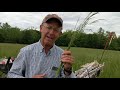 Greg Judy identifys grass species in paddock.