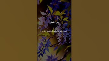 قران كريم راحة نفسية #راحة #اكسبلور #المصحف #لايك #الرحمن #vairal