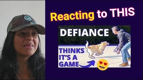 Beckman’s Dog Runs Away Video: My Reaction on Energy vs. Training #animalcommunicator #petbehavior