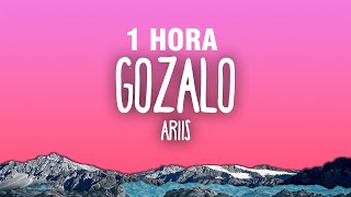 [1 HORA] ARIIS - GOZALO (Letra/Lyrics)