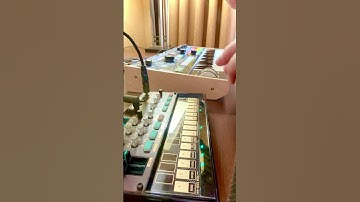 Korg Volca FM2 Motion (Parameter) Sequencing