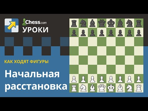 Правила шахмат: Начальная расстановка