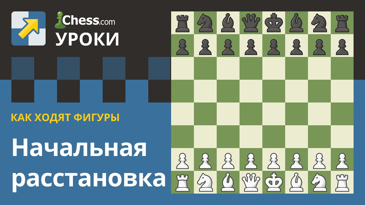 Доклад: Рейтинг хода, позиции шахматиста