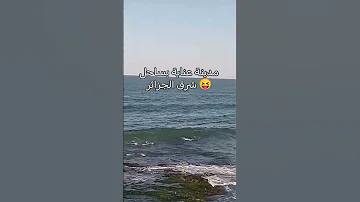 ثاني يوم عيد في الجزائر عنابة Annaba 