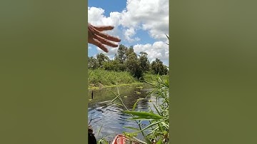 Câu cá lóc U minh thượng sh2.t10.22