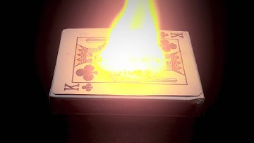 Bunnycoin - Built to Survive