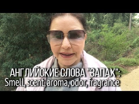 Video: Scents Of 