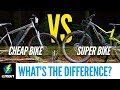 Cheap E- Bike Vs Super E-MTB | What's The Difference?