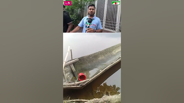 বিশাল আকৃতির একটি জ্যান্ত রাসেলস ভাইপার ধরে নিয়ে আসলো ঢাকায় #duet #dbcnews #bcb #news #bdsports