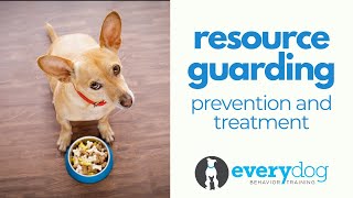 Resource Guarding Dogs- Prevention and Treatment
