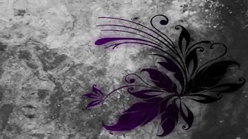 After Effects   Butterflies and Flourish introduction   HD