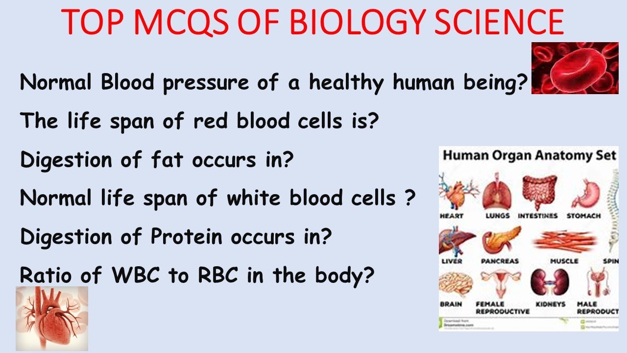 IMPORTANT MCQS OF SCIENCE BIOLOGY II BLOOD PRESSURE OF HUMAN HEINGII LIFE SPAN OF RBC WBC II