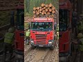 Red Logging Truck Crossing Dangerous Muddy Forest Bridge #truck #viral #shorts #viralvideo