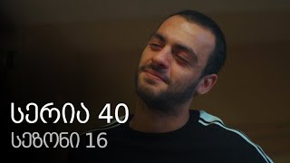 ჩემი ცოლის დაქალები - სერია 40 (სეზონი 16)