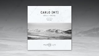 CARLO (MT) - Gnejna (Braynod Remix) [Another Life Music]