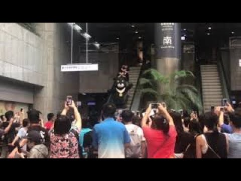 熊讚粉絲見面會 千名熊粉熱情參與