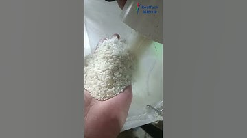 RealTech Single Rice Color Sorter at Customer Site #ricecolorsortermachine #farming #ricecolorsorter