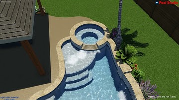 Freeform pool spa combo with raised beam and tanning ledge