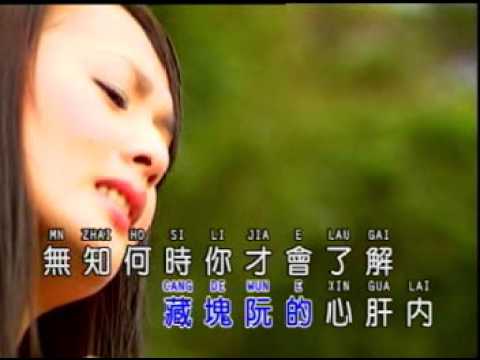 杨瀞-期待的爱(Official MV)