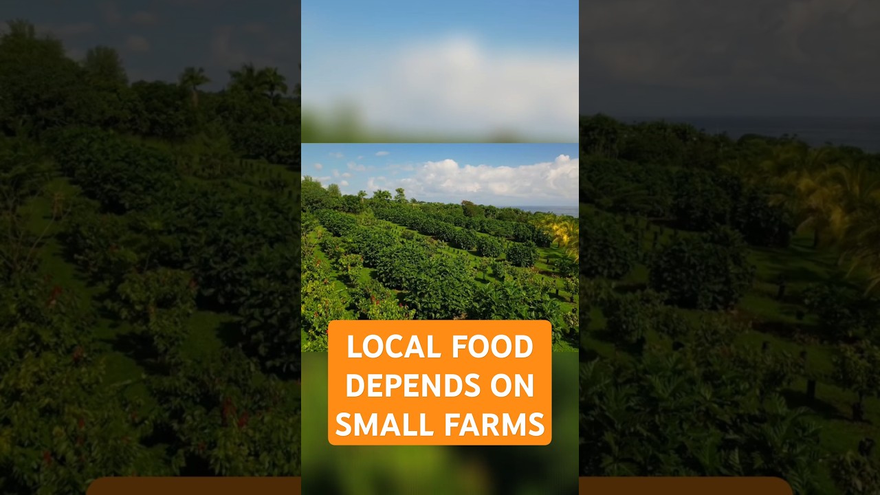 Support Hawaii's Small Farmers: The Heart of Local Food